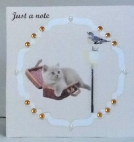 Jst a note for Cat lovers 1 by Hazel Underwood