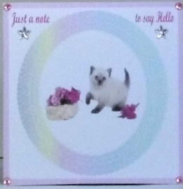 Just a note for Cat lovers 2 by Hazel Underwood