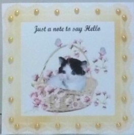 Just a note for Cat lovers 4 by Hazel Underwood