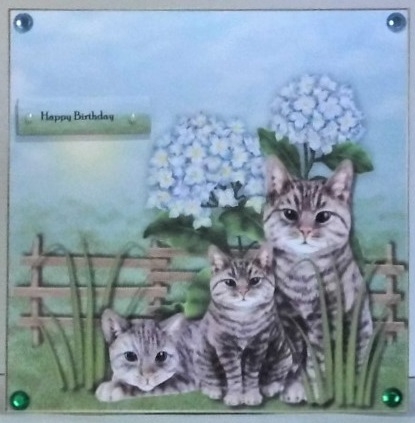 Cute cats in the garden by Hazel Underwood