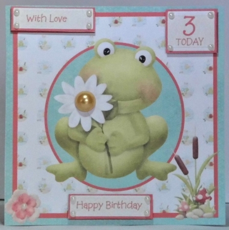 Frog birthday card kit with sheet of sentiments and insert by Hazel Underwood