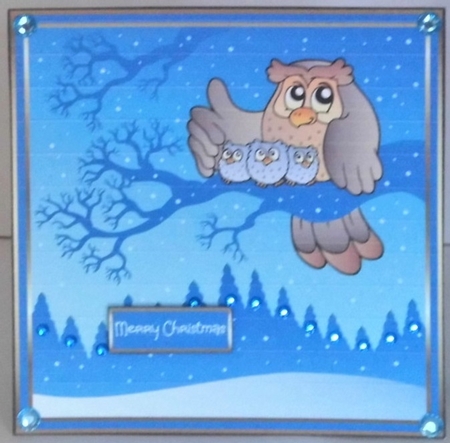 Owl family in winter by Hazel Underwood