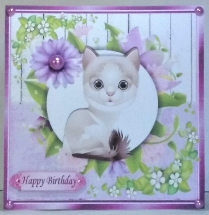 4 Lovely Card fronts with kittens, with pretty lilac flowers 8x8 Mini Kit by Hazel Underwood