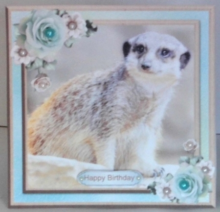 Cute meerkat card mini kit & decoupage by Hazel Underwood