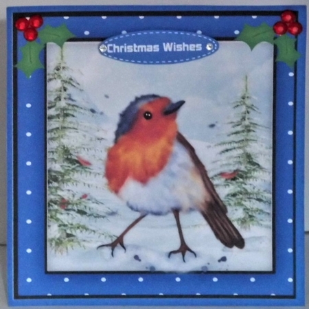 Robin In The Snow  by Hazel Underwood