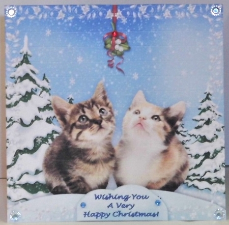 8 x 8 Christmas Kittens Under The Mistletoe Card Kit With Assorted Greetings by Hazel Underwood