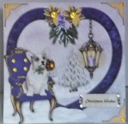 C795-CU-AS pet purple  xmas1 by Hazel Underwood