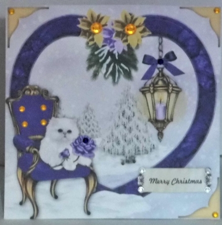 C796-CU-AS pet purple  xmas2 by Hazel Underwood