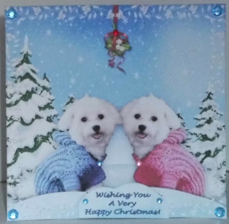8 x 8 Christmas Puppies Under The Mistletoe Card Kit With Assorted Greetings by Hazel Underwood