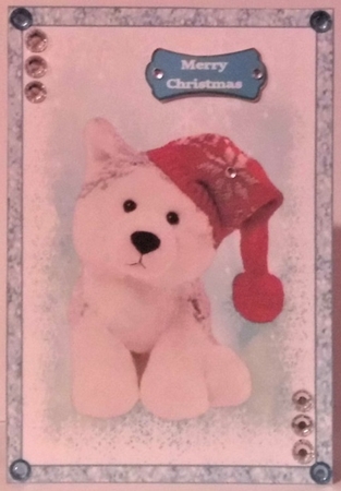 Sweet Little Christmas Husky by Hazel Underwood