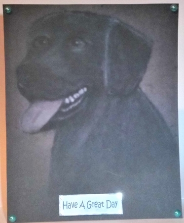Black Labrador by Hazel Underwood