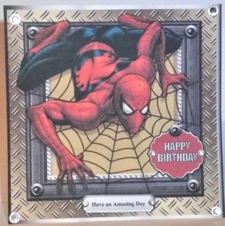 Bumper Kit The Amazing Spiderman by Hazel Underwood