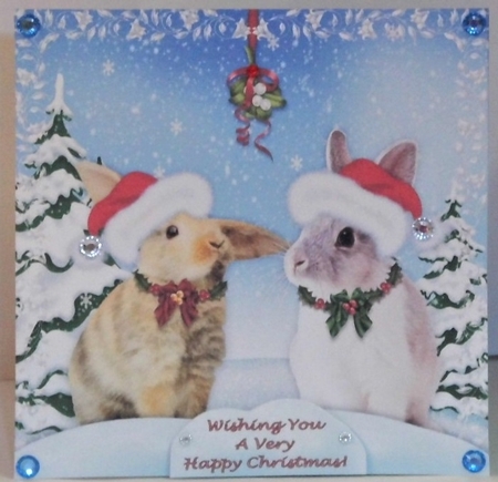 8 x 8 Christmas Bunny Rabbits Under The Mistletoe Card Kit With Assorted Greetings by Hazel Underwood