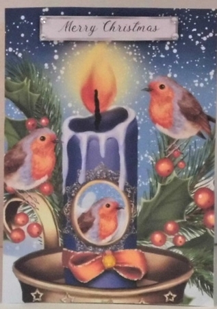Christmas Robin Family Quick Card by Hazel Underwood