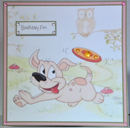 Frisbee puppy fun by Hazel Underwood