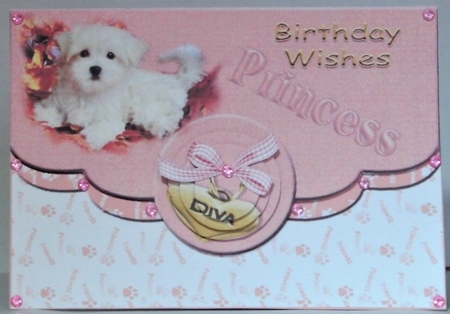 Mini Kit - Birthday Wishes Princess # 1  by Hazel Underwood