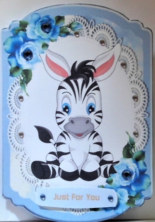 Cute zebra on lace with blue roses bracket card by Hazel Underwood