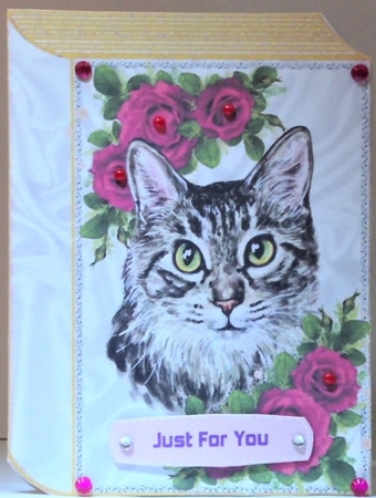 Pretty cat with cerise roses folded book by Hazel Underwood