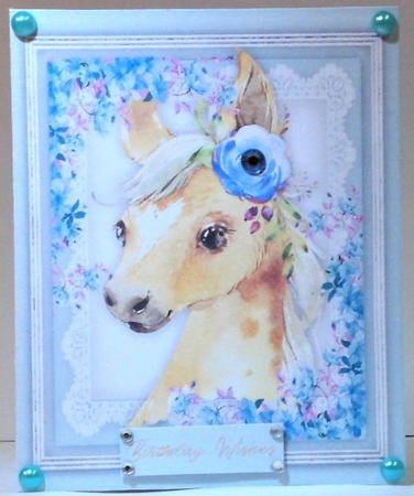 Print, and Cut , Beautiful Foal by Hazel Underwood
