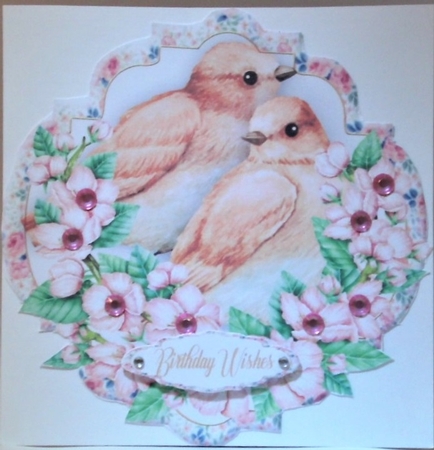 Beautiful Birds and Blossom  by Hazel Underwood