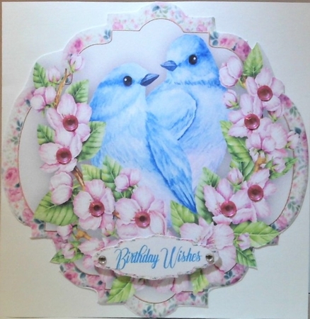 Beautiful Birds and Blossom  by Hazel Underwood