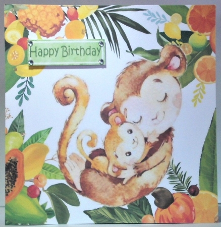 Baby monkey with mum in fruit and leaf frame 8x8 by Hazel Underwood