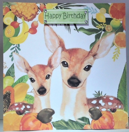 4 Lovely  Animals in  Fruit Frame 8x8 card fronts mini kit (SET 4) by Hazel Underwood
