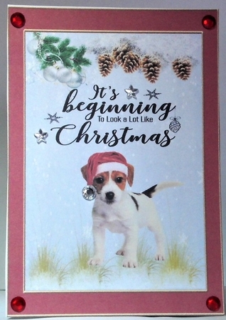 Puppy and owl Christmas by Hazel Underwood