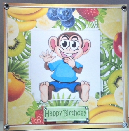 Cheeky monkey in blue t shirt assorted fruit frame 8x8 by Hazel Underwood