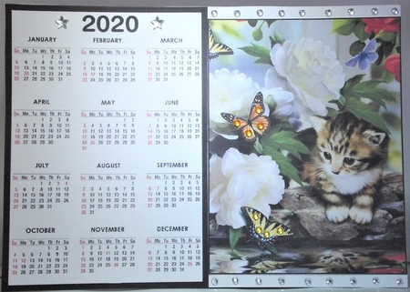2020 Calendar -  Landscape Kitty in the flowers by Hazel Underwood