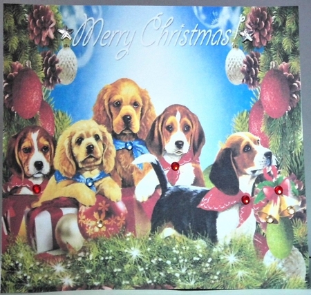 merry christmas dogs by Hazel Underwood