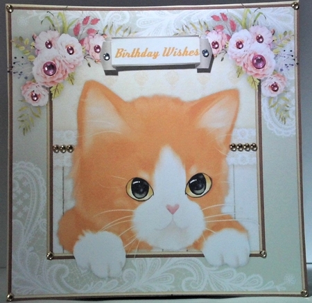 Gorgeous Ginger Tome Kitty by Hazel Underwood