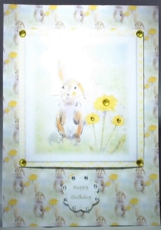  HAPPY BUNNY RABBIT BACKGROUND: A4 Backing Paper/Craft Sheet, With Commercial Use. by Hazel Underwood
