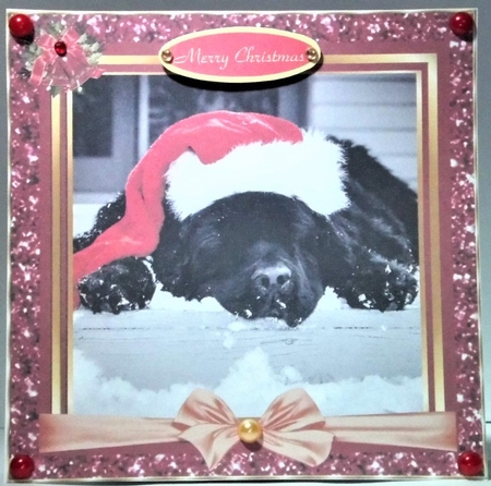 Its a Dogs Life at Christmas by Hazel Underwood