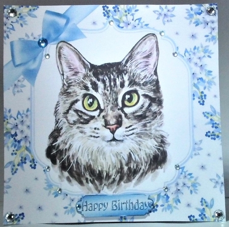  4 Pretty delicate flowers  with water colour cats card fronts 8x8 mini kit by Hazel Underwood
