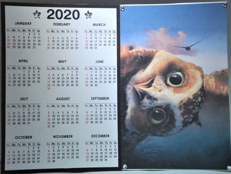 2020 Calendar -  Landscape Well Hello Owl by Hazel Underwood
