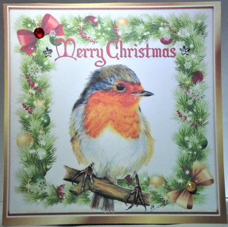 lovely robin on a branch in holly frame with bows 8x8 by Hazel Underwood