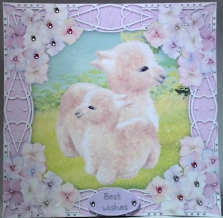 Gorgeous Llamas with hydrangea flowers 8x8 by Hazel Underwood