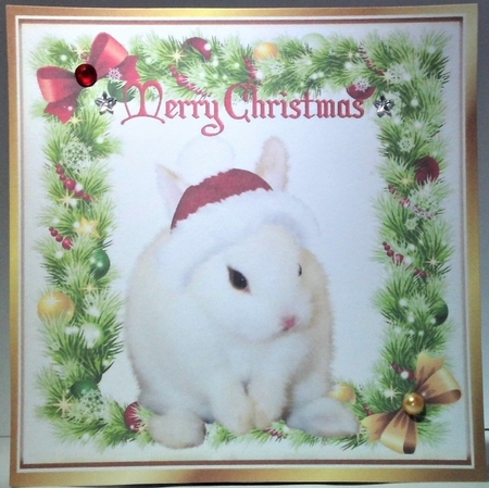 8 Lovely Christmas Card fronts in holly frames of Animals 8x8 bumper kit by Hazel Underwood