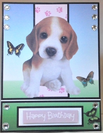 Beagle Puppy by Hazel Underwood