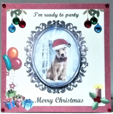 READY TO PARTY by Hazel Underwood