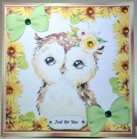 Cute water colour owl with daisies bows 8x8 by Hazel Underwood