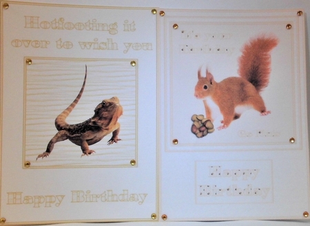Two humerous A5 quick card fronts by Hazel Underwood