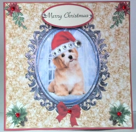 Santa Puppy by Hazel Underwood