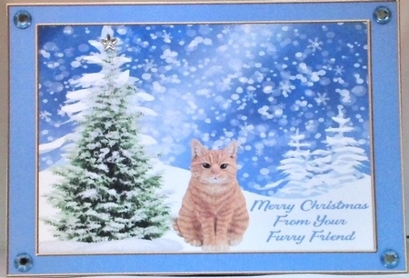 Merry Christmas from your furry friend by Hazel Underwood