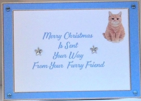 Merry Christmas from your furry friend by Hazel Underwood
