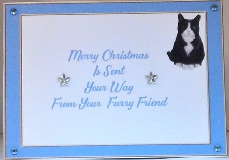christmas cats by Hazel Underwood