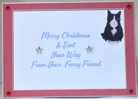 christmas cats by Hazel Underwood