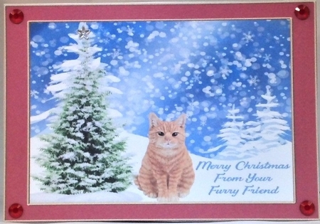 christmas cats by Hazel Underwood