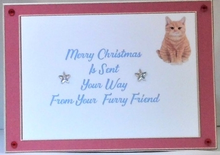 christmas cats by Hazel Underwood
